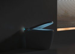 smart toilet detail