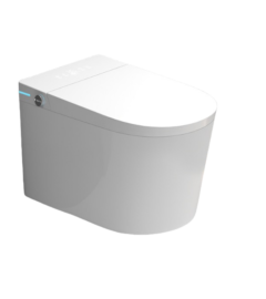 smart toilet
