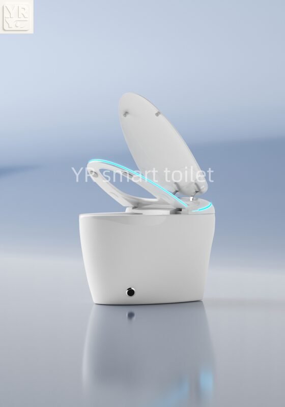 smart toilet