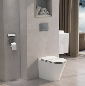 smart toilet